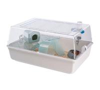 Ferplast MINI DUNA HAMSTER Compact Hamster Cage - Ventilated Multi-Level Habitat with Interactive Transparent Top - Exercise Wheel & Accessories - Easy Clean, 55x39x27 cm - White