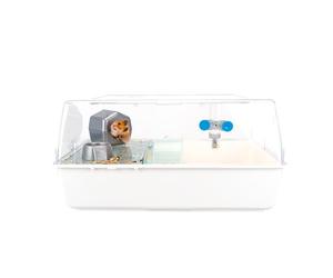 Ferplast MINI DUNA HAMSTER Compact Hamster Cage - Ventilated Multi-Level Habitat with Interactive Transparent Top - Exercise Wheel & Accessories - Easy Clean, 55x39x27 cm - White