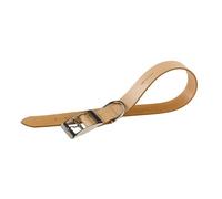 Ferplast Natural BE C25/45 Dog Collar, 37-45 cm/ 25 mm, Beige