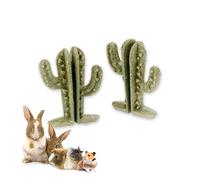 Ferplast Natural Snack for Rodents, Hamsters, Guinea Pigs and Rabbits, Promotes Dental Hygiene, Stimulates Play and Offers Taste and Well-Being, Cactus-shaped