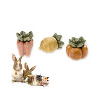 Ferplast Natural Snack for Rodents, Hamsters, Guinea Pigs and Rabbits, Promotes Dental Hygiene, Stimulates Play and Offers Taste and Well-Being, Berry-shaped