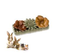 Ferplast Natural Snack for Rodents, Hamsters, Guinea Pigs and Rabbits, Promotes Dental Hygiene, Stimulates Play and Offers Taste and Well-Being, Flower-Shaped