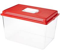 Ferplast Plastic Container for Small Animals GEO EXTRA LARGE Aquarium Tank 11 L for Fishes Terrarium Turtles Insects, Sturdy Plastic, Ventilation Grills, 35,6 x 23,4 x h 22,8 cm Red
