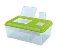 Geo Plastic Tank Flat Large Mixed Colours 46.7X30.5X17.5Cm