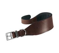 Ferplast VIP Cw20/39 Dog Collar, 32 x 39 cm/ 20 mm, Brown