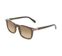 Ferragamo SF2120S Brown horn 53/21/150 MAN Sunglasses