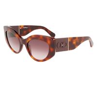 Ferragamo Woman SF1044S 238 Sunglasses Plastic Turtle Brown Butterfly Shaded
