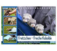 Ferret - Cheeky Goblins (Desk Calendar 2026 DIN A5 Landscape), CALVENDO Monthly Calendar