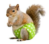 Ferret Diapers Highly Absorbent | Urine-Wet Pants for Squirrel for Small Animals Like Mice Degus Ferrets Hamster Chinchillas Bunnies