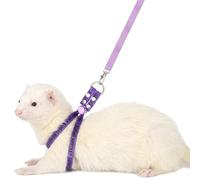 Ferret Harness and Leash Set, Adjustable Guinea Pig Small Pet Animals Comfort Vest Soft No Pulling Walking Clothes for Rabbit Bunny Teacup Mouse Rats Hamster Kitten Puppy Chinchilla