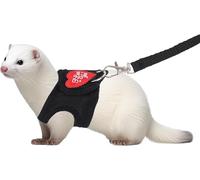 Ferret Harness and Leash Set Adjustable Soft Vest with Durable Escape Resistant Perfect for Squirrel Rabbits Guinea Pigs Hamsters Kittens (Black,S)