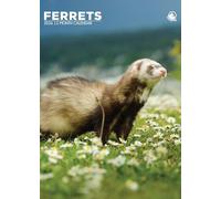 Ferrets 2026 Calendar, A3, Wirobound, Full Colour