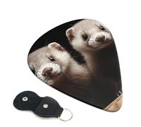 Ferrets 6 Pack Guitar Picks With Holder, Personalized Guitar Plectrums Non-Slip Portable Ukulele Bass Picks 0.71mm For Acoustic Guitar Lovers Gifts