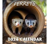 Ferrets Calendar 2026: Curious explorers with mischievous eyes through every month