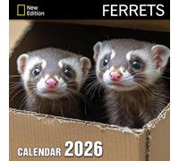 Ferrets Calendar 2026: Curious explorers with mischievous eyes through every month