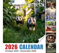 Ferrets Calendar 2026: Curious explorers with mischievous eyes through every month