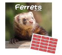 Ferrets Calendar 2026 | Square Wall Calendar | 16 Month | With Free Organisational Stickers
