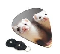 Ferrets Guitar Picks 6 Pack with Leather Guitar Pick Holder Keychain, Plectrum Key Fob Cases Bag, Abstract Art Plectrum for Acoustic Electric Guitar, Ukulele 0.46mm