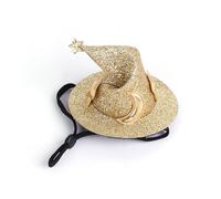 Ferrets wizar Hat - Mini Pet Hat, Adjustable Funny Pets | Cute Hamster Party For Pett Birthdays, Creative Cosplay Costume Cap With Chin Strap, Small Animal For Guinea Pig, ra, Bunny, Fer