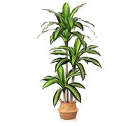 Ferrgoal Artificial Plants, 5 Ft Dracaena Tree Faux Plants Indoor Outdoor Decor Fake Tree with Woven Seagrass Basket Slik Plants for Home Decor Office Living Room Porch Patio Perfect Housewarming Gift