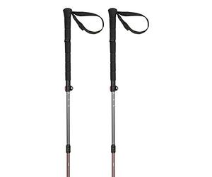 Ferrino Stick THUI Telescopic Stick, Adults Unisex, Grey Red (Multicoloured), One Size