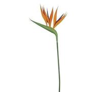 Ferris Heart Sloane Luxury Artificial NEW Birds of Paradise 66cm tall