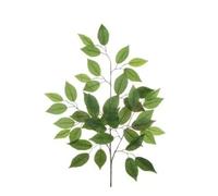 Ferris Heart Sloane Luxury Artificial NEW Green Ficus Spray 60cm long