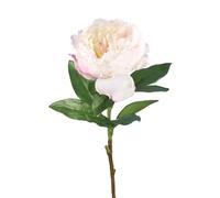 Ferris Heart Sloane Luxury Artificial NEW Peony Single Open Ivory Pink 70cm tall