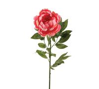Ferris Heart Sloane Luxury Artificial NEW Peony Single Open Pink 80cm tall
