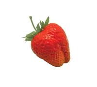 Ferris Heart Sloane Luxury Artificial NEW Strawberry Fruit (12 pieces) measuring 7cm