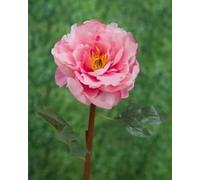 Ferris Heart Sloane Luxury Artificial Peony Single Open Light Pink 50cm long