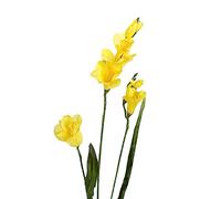 Ferris Heart Sloane Luxury Artificial Yellow Freesia 65cm long, faux freesia, spring flowers