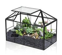 Ferrisland Air Plant Terrarium Glass - House Succulent Glass Terrarium Large Geometric Planter w/Lip for Succulent Fern Air Plant Tabletop DIY Gift - Miniature Greenhouse Wedding Card Container