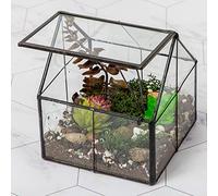 Ferrisland Glass Plant Terrarium Container Wardian Case Indoor Small Succulent Terrarium Planter w/Door for Tabletop Decor DIY Gift - 5.0"x4.3"x4.3"