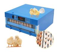 Fertile Hatching Eggs with Automatic Turning, Temperature & Humidity Control, Auto Water Refill for Poultry Incubation