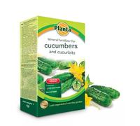 Fertilizer for Cucumbers & Cucurbit Plants - 1kg | Mineral Plant Food for Zucchini, Melon, Squash | Boosts Yield & Taste