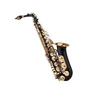 Fesjoy Eb Alto Saxophone Sax Brass Lacquered Gold 82Z Key Type Woodwind Instrument with Padded Carry Case for Accompaniment in Jazz and Classical Music