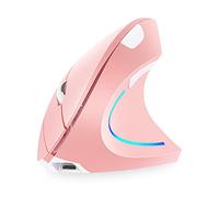 Fesjoy Vertical Mouse, 2.4G BT Wireless Vertical Mouse Dual-Mode Rechargeable Mouse Streamer RGB 3 Levels Adjustable DPI