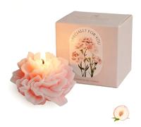 Fesnova Gift for Mum, Mother's Day Gift Candle, Scented Candles Gift Mother's Day Easter, Birthday Gift for Women, Carnation Candles Pink, Peach Fragrance