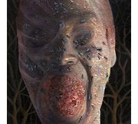 Festerday - The Four Stages Of Decomposition