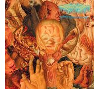 Festerdecay - Reality Rotten To The Core