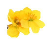 FESTFENDS Narcissus Flower Hairpin Set, Daffodil Floral Barrette Clips for Curly Bangs, Pale Yellow Simulated Spring Hair Accessories for Everyday and Updo Styling