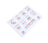 FESTFENDS Standard Hand Washing Steps Sticker Wall Decal Instructions for Office, School, and Home Use - Large Size Sturdy Vinyl Hand Hygiene Reference Poster