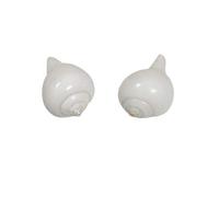 Festival Indian Dakshinavarti Pooja Shankh White Conch, Paal Sangu Pack of 2 by Indian Collectible
