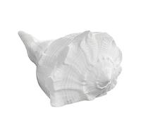 Festival Indian Dakshinavarti Shankh (दक्षिणावर्ती शंख) Pooja Special Subh Pavitr White Shankh Small Size by Indian Collectible