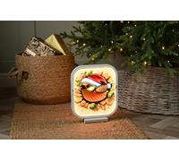Festive 30Cm Infinity Robin With Hat Frame