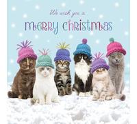Festive Cats Wearing Woolly Hats in Snow - Eco-Friendly Glitter Finish Premium Charity Pack of 5 Christmas Cards - XJ111AFF