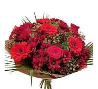 Festive Christmas Bouquet - Fresh Red Roses - Gerbera Santini, with Seasonal Greens - Winter Holiday Floral for December, Housewarming, Sympathy, Indoor Decoration