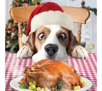 Festive Dogs Turkey Dinner Fun Party Animal - Pack of 5 Charity Christmas Cards - Sold in Aid of Marie Cancer Care