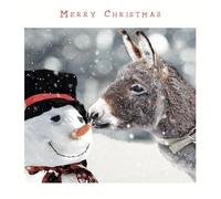 Festive Dressed Up Jolly Snowman and Donkey - Photographic Art - Red Foil Lettered Merry Christmas Premium Charity Pack of 5 Xmas Cards - XP229AFF